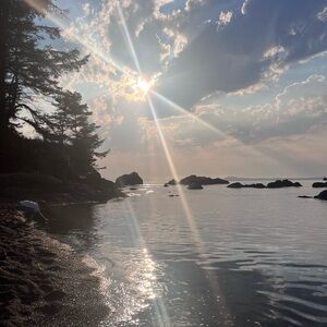 Flowers for a friend